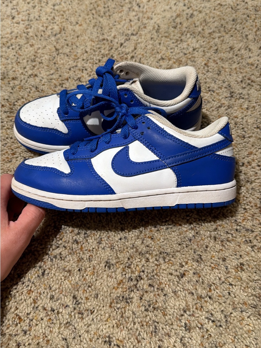 Nike Kids dunks